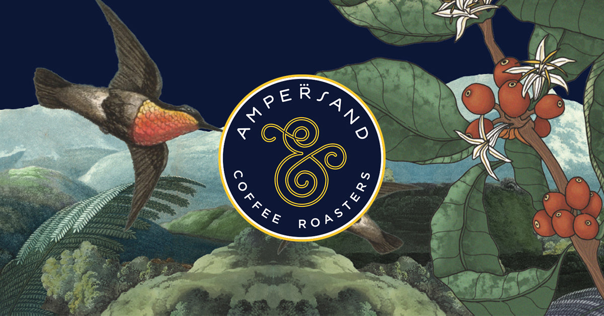 Ampersand Coffee Roasters