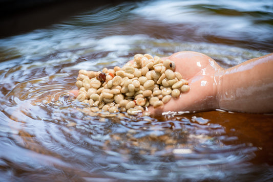 Here's How Decaf Is Made, Both With and Without Additives