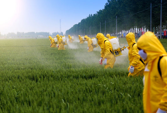 Organic’s Relationship with the Climate Crisis is very, very Complicated