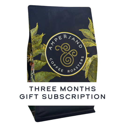 3 Month Gift Subscription