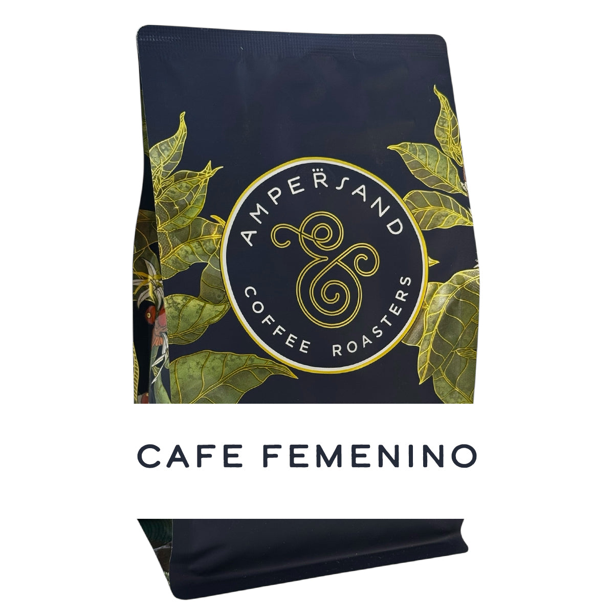 6 Month Gift Subscription